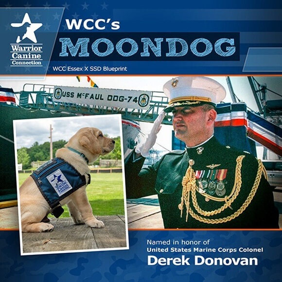 Warrior Canine Connection’s Moondog